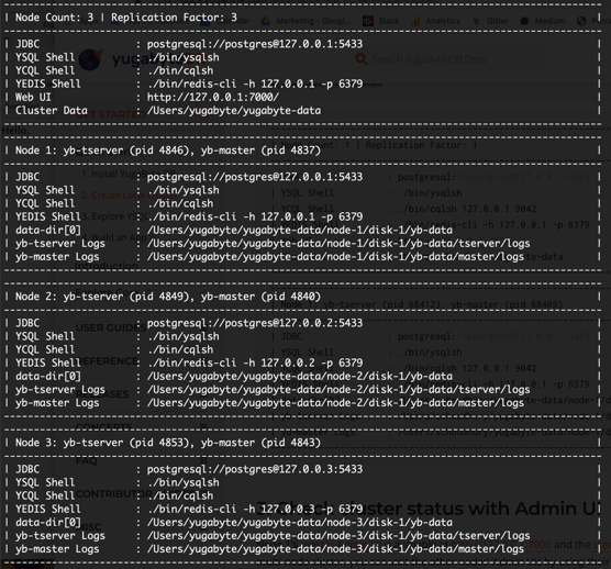 Check the Status of the YugabyteDB Cluster