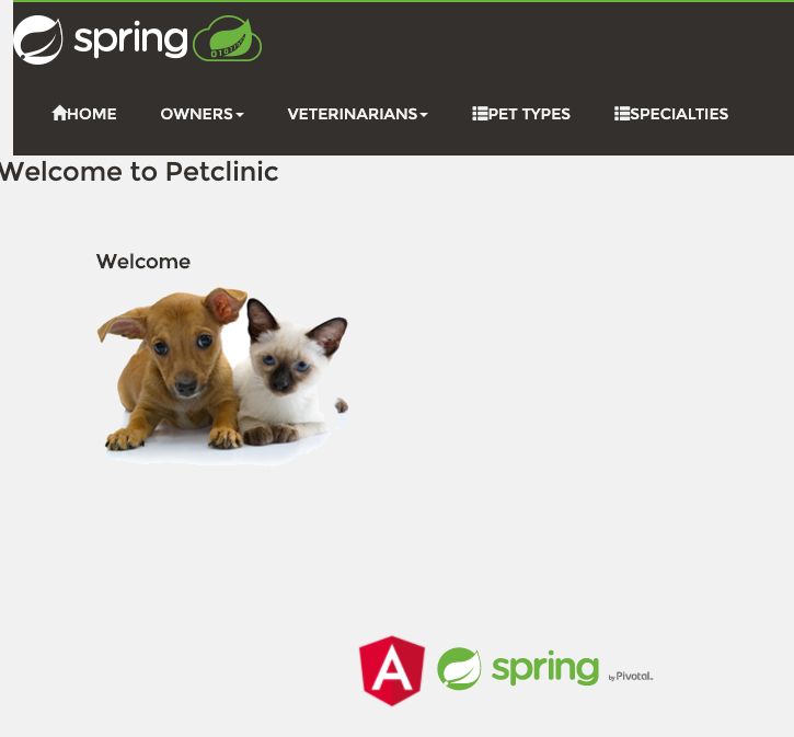 Spring petclinic sales
