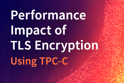 Measuring the Performance Impact of TLS Encryption Using TPC-C Preview