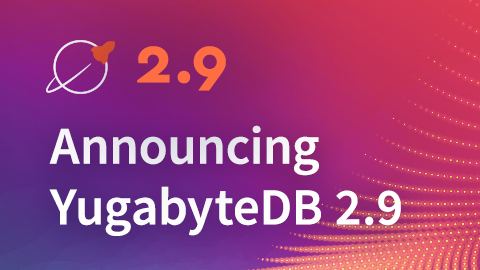 YBDB-2.9-Preview