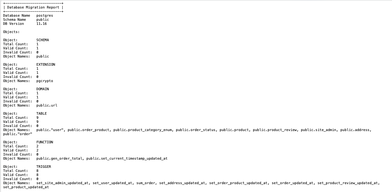 Database Migration Report