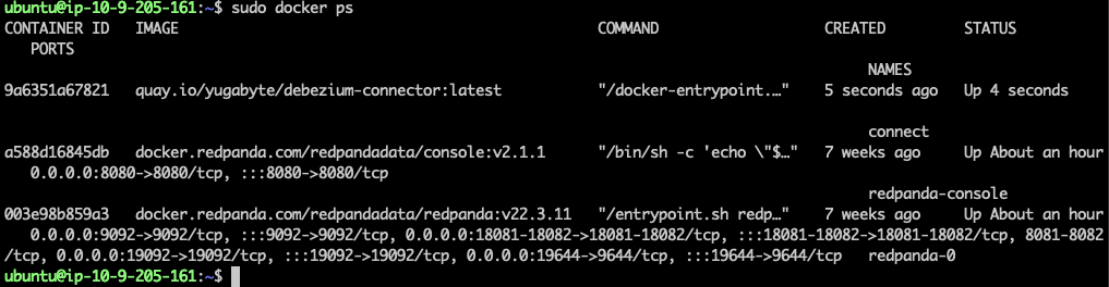 Redpanda Docker Containers - 3.pngRedpanda Docker Containers - 3