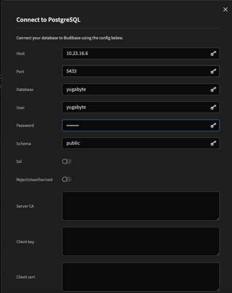 Budibase, connect to PostgreSQL