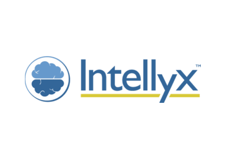 intellyx