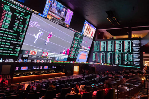 Raising the Stakes: Scaling Sports Betting Platforms for Peak Performance